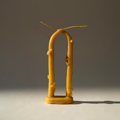 Rjaska kerti 22 cm